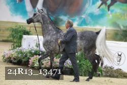 24R13_13471 thumbnail