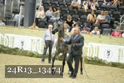 24R13_13474 thumbnail