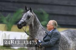 24R13_13475 thumbnail
