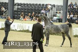 24R13_13476 thumbnail