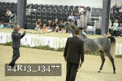 24R13_13477 thumbnail