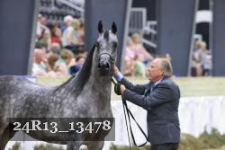 24R13_13478 thumbnail