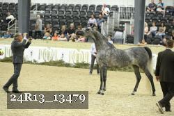 24R13_13479 thumbnail