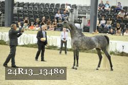 24R13_13480 thumbnail