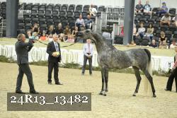 24R13_13482 thumbnail
