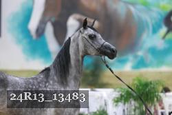 24R13_13483 thumbnail
