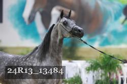24R13_13484 thumbnail