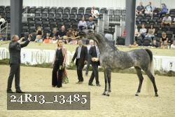 24R13_13485 thumbnail