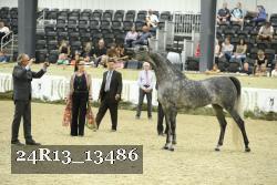 24R13_13486 thumbnail