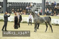 24R13_13487 thumbnail