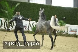 24R13_13490 thumbnail