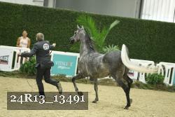 24R13_13491 thumbnail