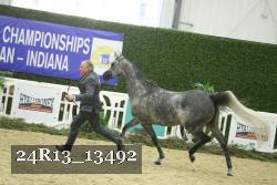 24R13_13492 thumbnail