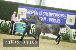 24R13_13493 thumbnail