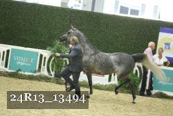 24R13_13494 thumbnail