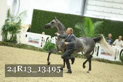 24R13_13495 thumbnail