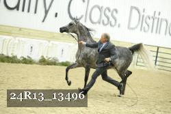 24R13_13496 thumbnail