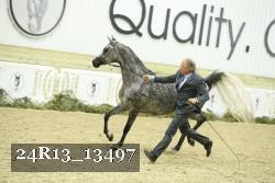 24R13_13497 thumbnail