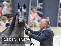 24R13_13498 thumbnail