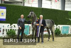 24R13_13499 thumbnail