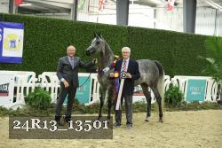 24R13_13501 thumbnail