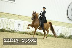 24R13_13502 thumbnail