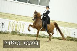 24R13_13503 thumbnail