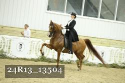 24R13_13504 thumbnail