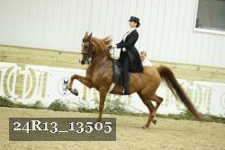 24R13_13505 thumbnail