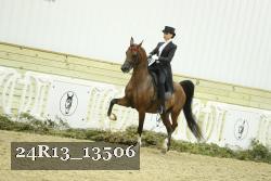 24R13_13506 thumbnail