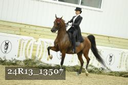 24R13_13507 thumbnail