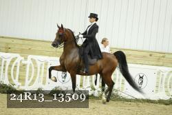24R13_13509 thumbnail