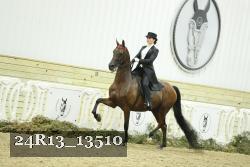 24R13_13510 thumbnail