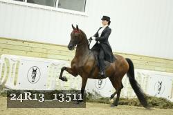 24R13_13511 thumbnail