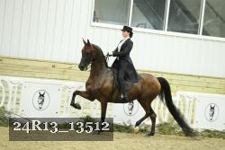 24R13_13512 thumbnail