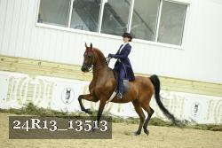 24R13_13513 thumbnail