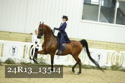 24R13_13514 thumbnail