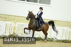 24R13_13516 thumbnail