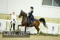 24R13_13517 thumbnail