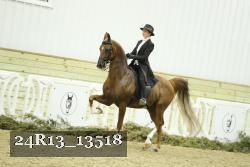 24R13_13518 thumbnail