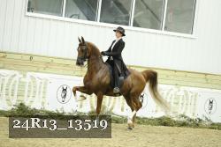 24R13_13519 thumbnail