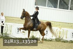 24R13_13520 thumbnail