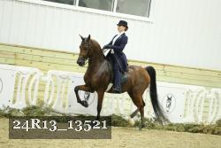 24R13_13521 thumbnail