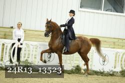 24R13_13523 thumbnail