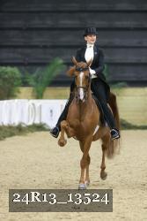 24R13_13524 thumbnail