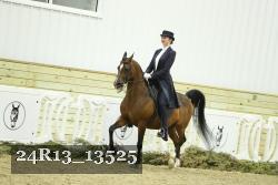 24R13_13525 thumbnail