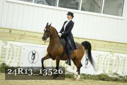 24R13_13526 thumbnail