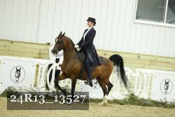 24R13_13527 thumbnail