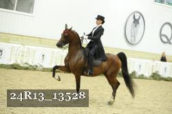 24R13_13528 thumbnail