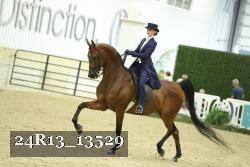 24R13_13529 thumbnail